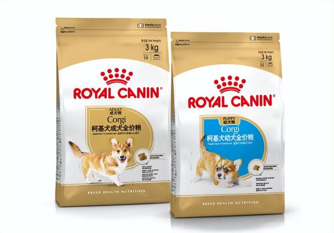 周年：营养守护犬猫健康 构建宠物生态新未来PG麻将胡了2模拟器皇家宠物食品中国三